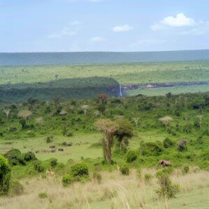 Urlaub Kenia • Shimba Hills Nationalreservat (Sehenswürdigkeiten)